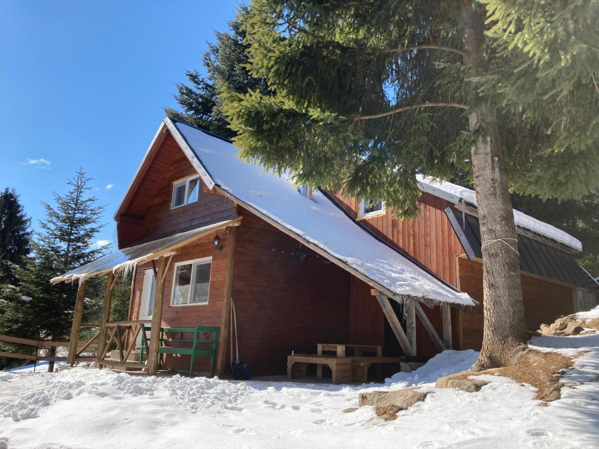 Ven Fenyo Kunyho Villa Ciceu Luaran gambar